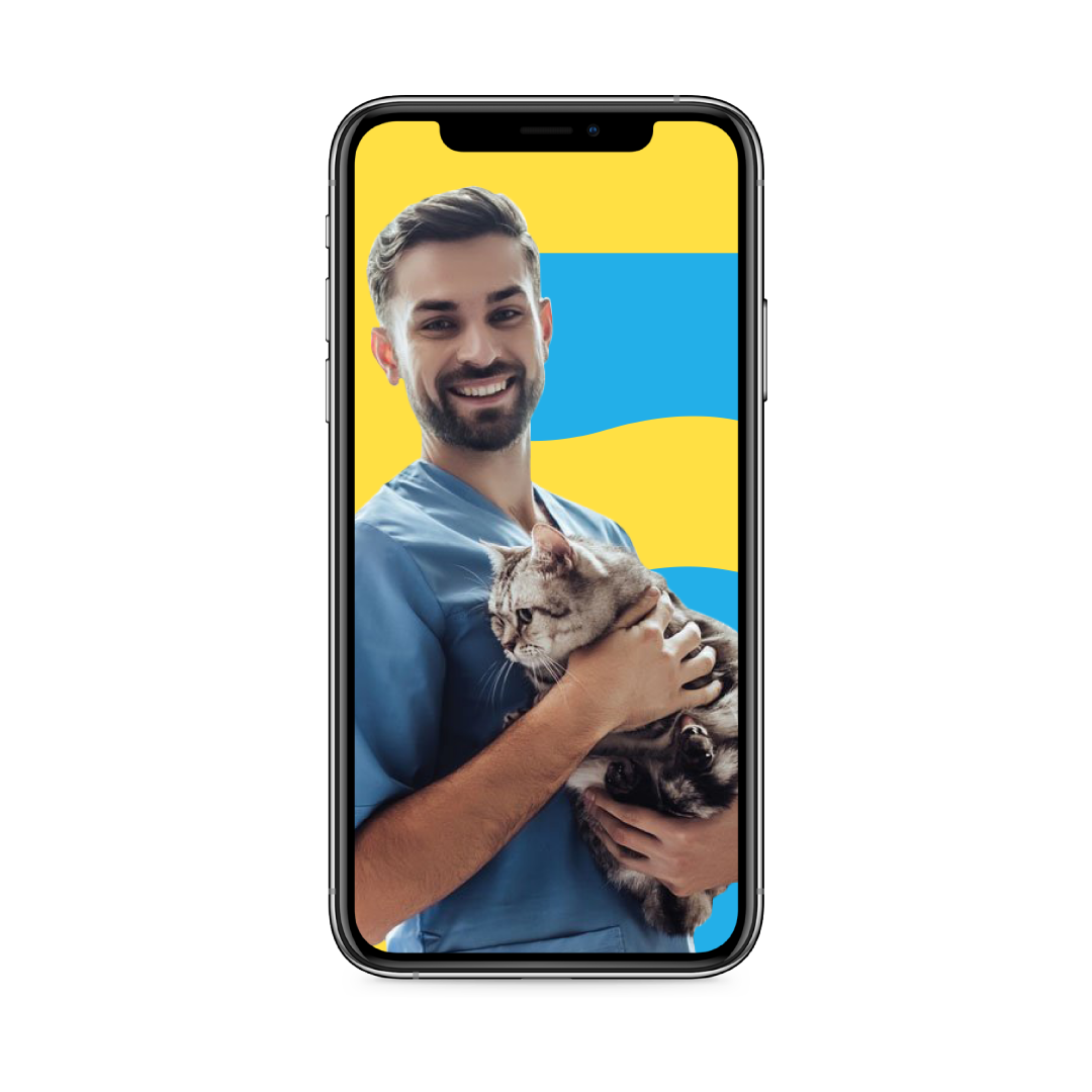 Celular com a imagem de um veterinário sorridente com um gato no colo